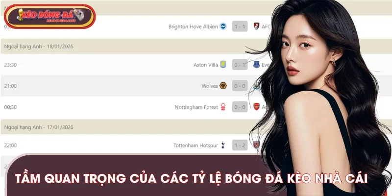 Vai trò cốt lõi của tỷ lệ kèo bóng đá trong trận đấu