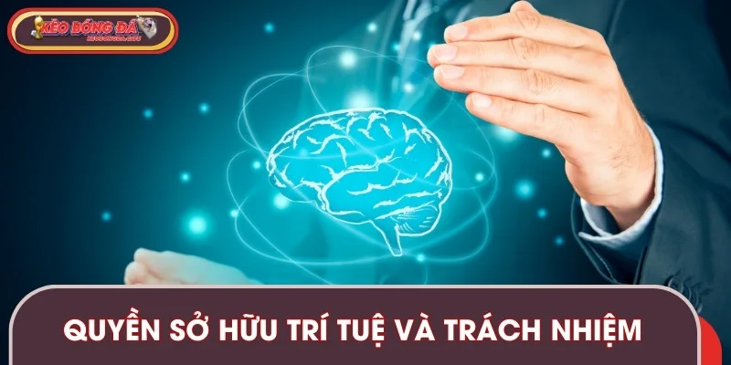Quy định về bản quyền và trách nhiệm của người dùng
